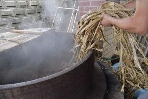 楮煮